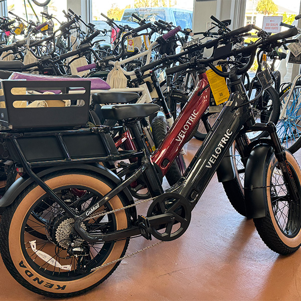 velotric-image-mobile